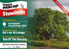 Europejskie Drzewo Roku 2015 - Słowianin